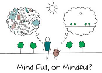 Mindfulness Praktijk Transire